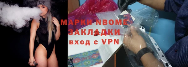 стаф Алзамай