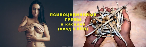 стаф Алзамай