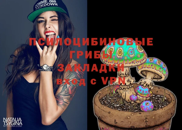 дурь Алексин