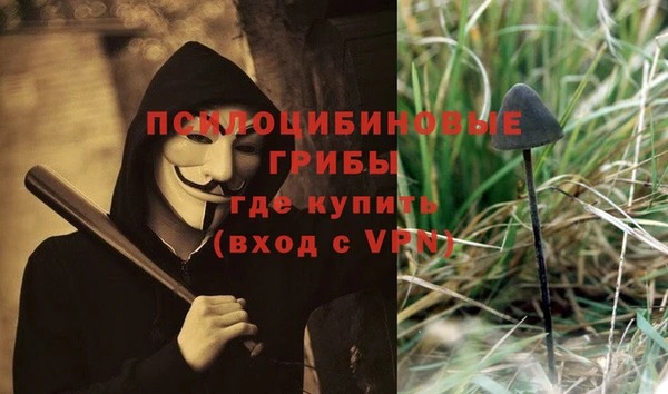 дурь Алексин