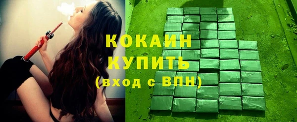 стаф Алзамай
