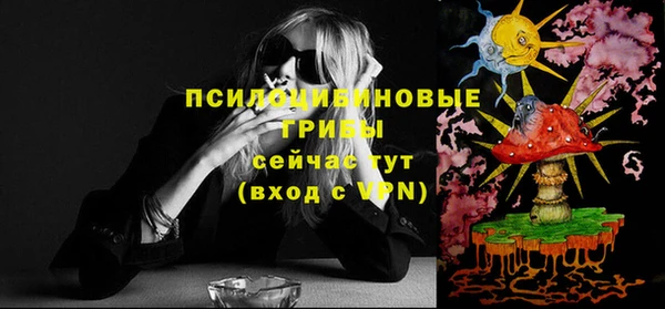 дурь Алексин