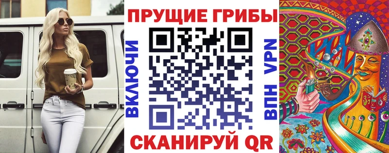 Псилоцибиновые грибы Psilocybe  Чёрмоз 